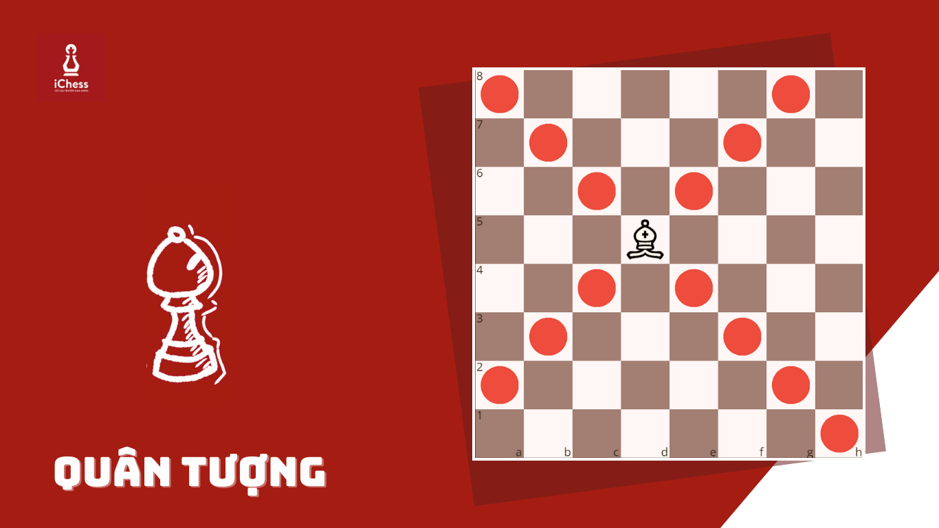 Hướng dẫn cách chơi cờ vua cơ bản 4 6